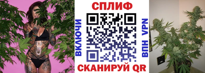 Купить закладки  Анива  МАРИХУАНА VHQ 